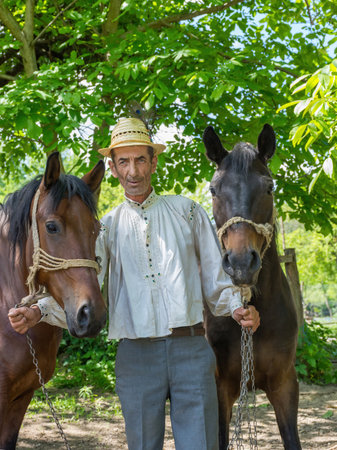 Salaj, Transylvania, Romania-May 14, 2018: a old Romanian peasant and his two beautiful horses in the countryside in summer dayのeditorial素材