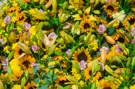 Summer blossoming colorful flowers wall background. Bunch of beautiful mixed flowers. Selective...