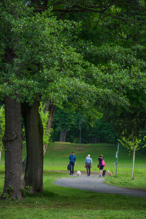 People walking with dogs in the park, in summertime, in Graz, Austriaの写真素材