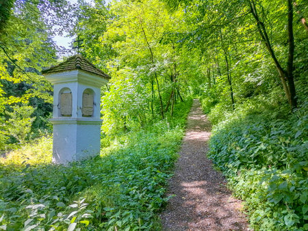 Path in the forest to the pilgrimage Church Maria Strassengel, a 14th century Gothic church situated on top of a hill in Judendorf Strassengel near Graz, Styria region, Austriaの写真素材