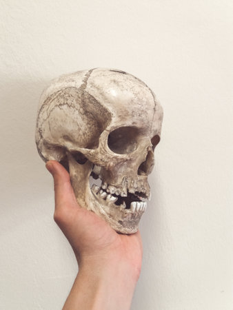 Human skull isolated on white backgroundの写真素材