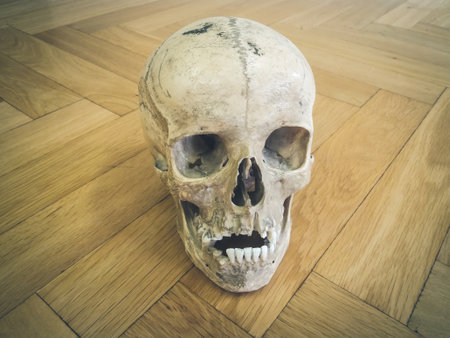 Human skull isolated on wooden background.の写真素材