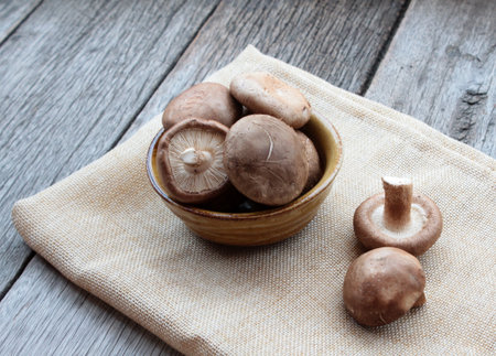 Shiitake mushroomの写真素材