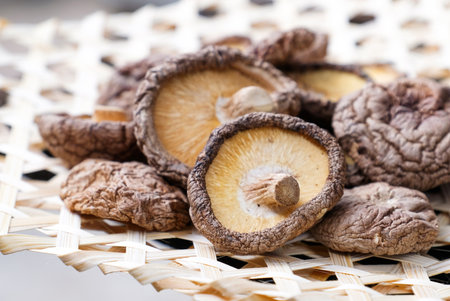 Shiitake Mushroomの写真素材