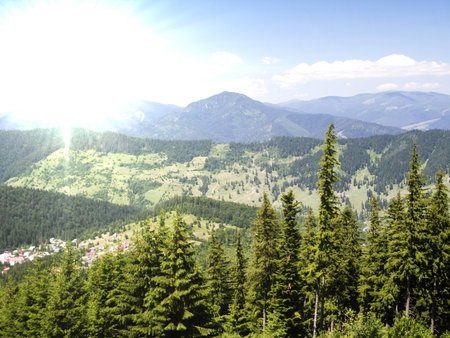 Mountains with green forest landscape.の写真素材