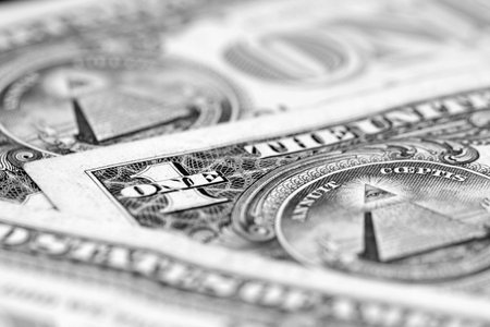 Macro image of a dollarの写真素材