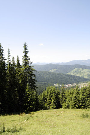 Mountains with green forest landscape.の写真素材