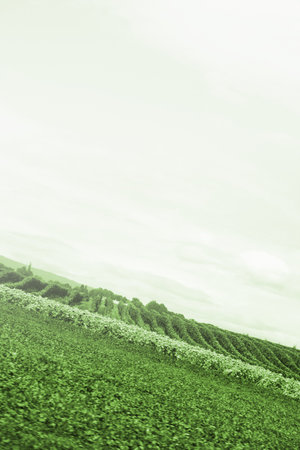 Beautiful country landscape view. Great nature scene.の写真素材