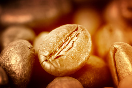 Macro picture of coffee beans.の写真素材
