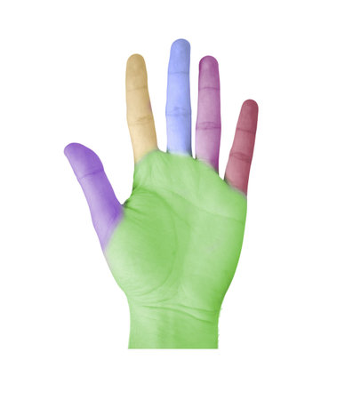 Color hand of a man isolated on a white backgroundの写真素材