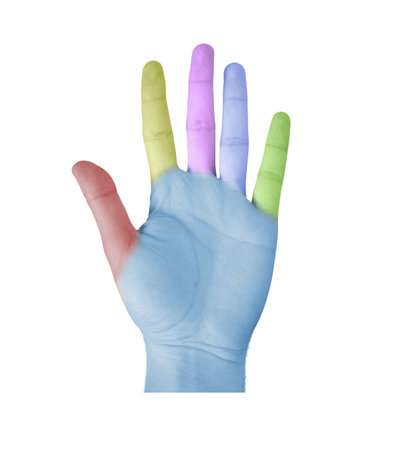 Color hand of a man isolated on a white backgroundの写真素材