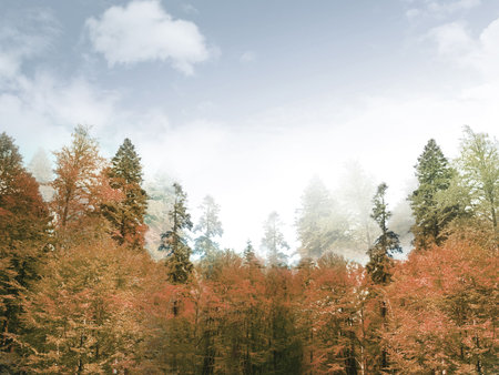 Green forest landscapeの写真素材