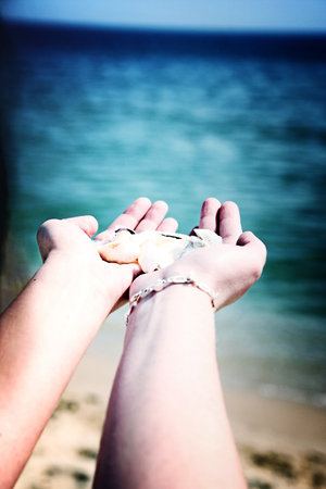 Scallop in a woman hands.