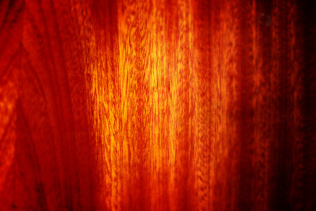 Wood background