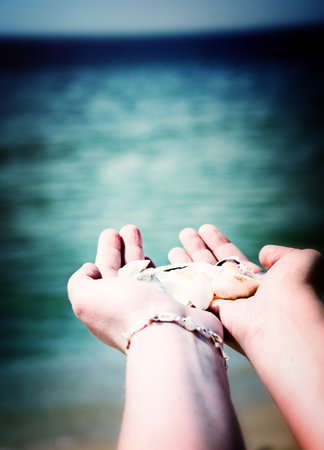 Scallop in a woman hands.の写真素材