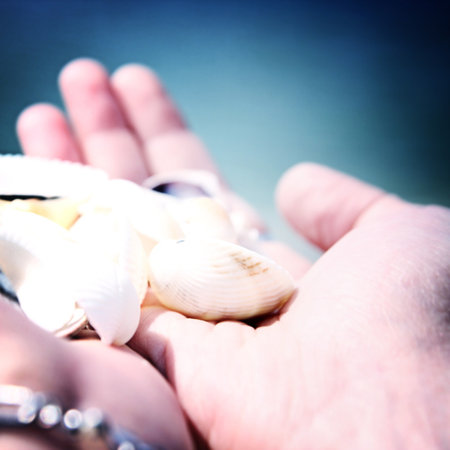 Scallop in a woman hands.の写真素材