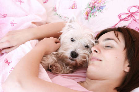 Westie sleeping next to woman in bed .の写真素材