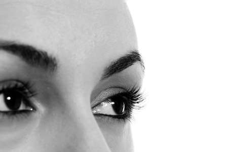 Macro image of a brown eye. Isolated on whiteの写真素材