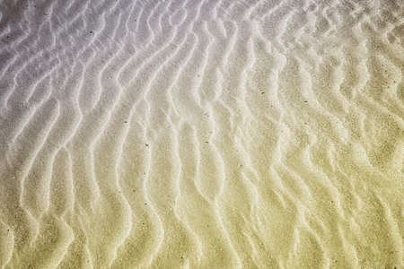 Beach with soft sand, rippled texture of windblown effect