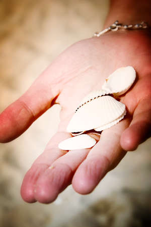 Scallop in a woman hands.の写真素材
