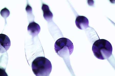 Modern yellow curtain with gold balls.の写真素材