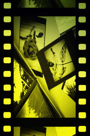 Photo Album with copy space. Great details!の写真素材