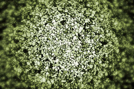 Rock wall, close up.Texture background. Great details.の写真素材