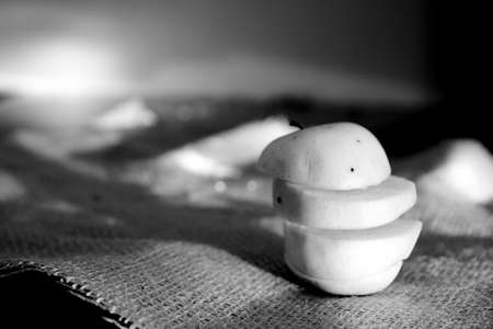 abstract slices of a green appleの写真素材