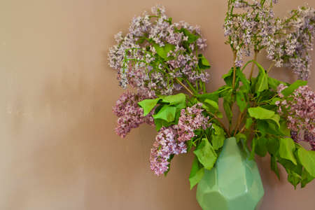 wonderful flowers on a wood table in my roomの写真素材