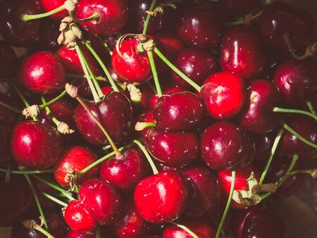 Sweet cherryの写真素材
