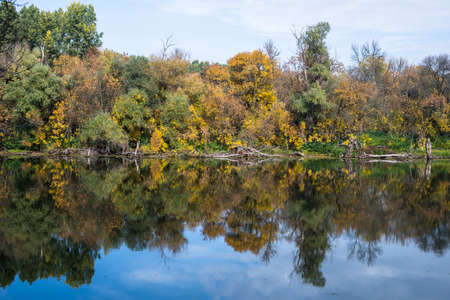 Colorful forest reflecting in still waterの写真素材