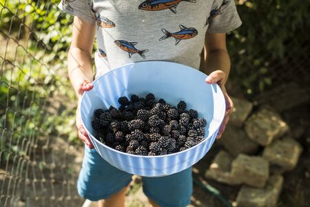 Middle section of boy in shorts and T-shirt holding light-blue bowl half-full of blackberry standing by fenceの写真素材