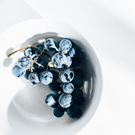 Merlot grape vine in white porcelain bowl on white tableの写真素材