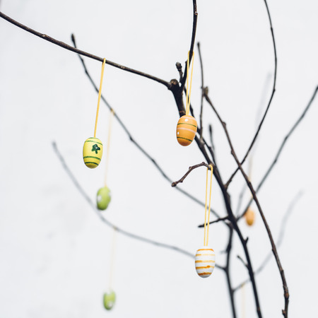 Bare tree branches with colorful Easter eggs decorationの写真素材