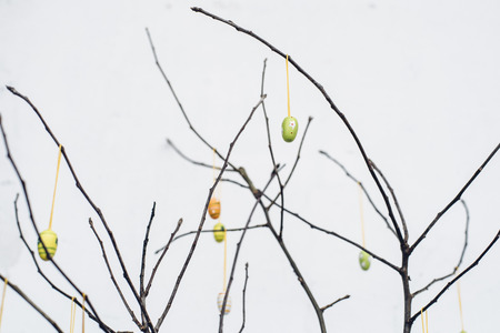 Bare tree branches with colorful Easter eggs decorationの写真素材
