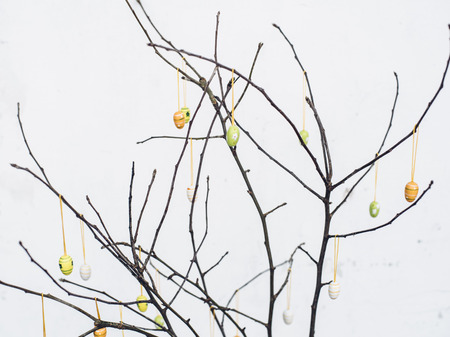 Bare tree branches with colorful Easter eggs decorationの写真素材