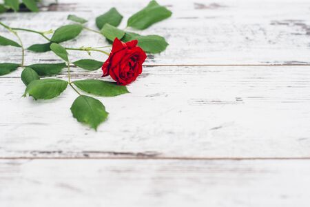 Single red rose on vintage wooden tableの写真素材