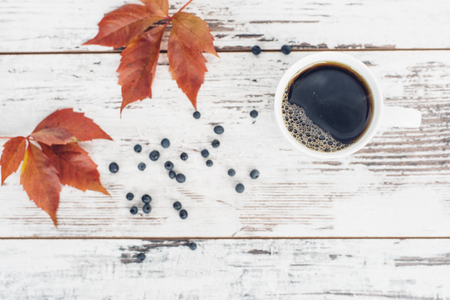 Black tea in white porcelain cup on vintage wooden table with leaves and berries of wild grapeの写真素材