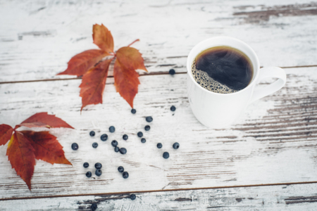 Black tea in white porcelain cup on vintage wooden table with leaves and berries of wild grapeの写真素材