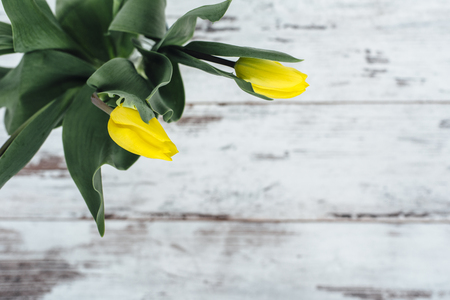 Yellow tulips in vase on wooden tableの写真素材