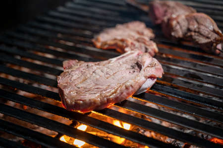 Grilled meat steak on hot coals