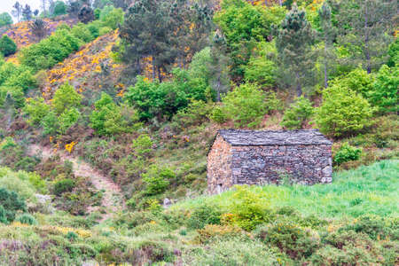 Stone hut between mountain vegetation in the Pesqueiras village, Ourenseの写真素材