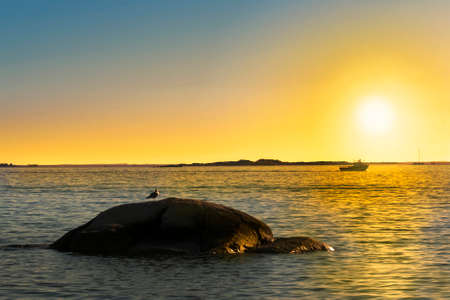 Seagull and boat in Arousa estuary at sunsetの写真素材