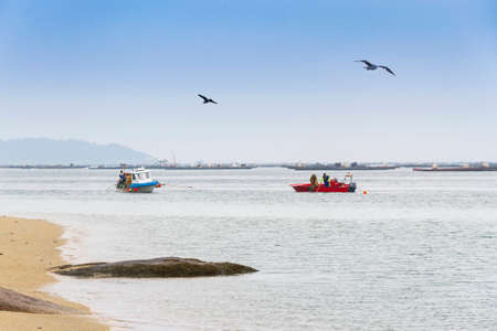 Fishing shellfish from a boat on Sinas beach, Vilanova de Arousaの写真素材