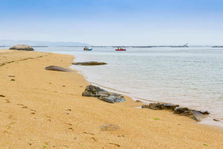 Shellfish fishermen dragging clams from boats on Sinas beach in Vilanova de Arousaの写真素材