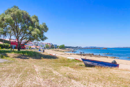 Olive tree and boats on Branna beach in Vilanova de Arousaの写真素材