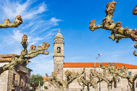Bell tower of San Benito church surrounded by pruned tree branches imitated by the cloudsの写真素材