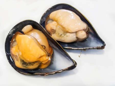 Two male and female cooked mussels of high quality on white background