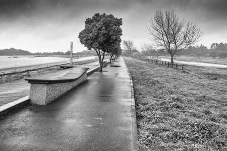 Raining in Bao park, Arousa Island, in black and white viewの写真素材