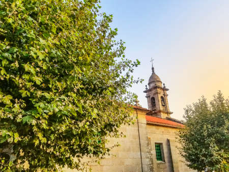 Bell tower of Saint Julian church in Arousa island between plane trees at sunsetの写真素材